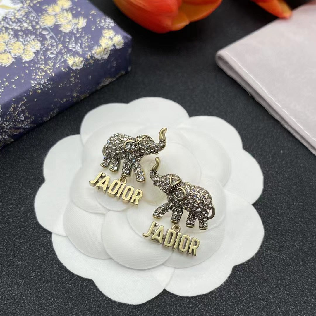 Dior Earrings