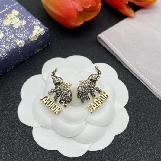 Dior Earrings