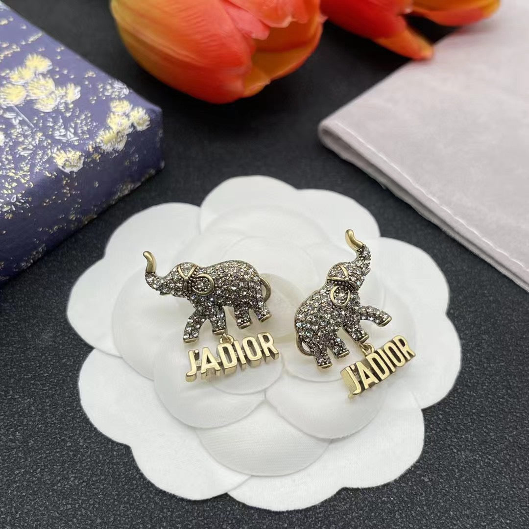 Dior Earrings
